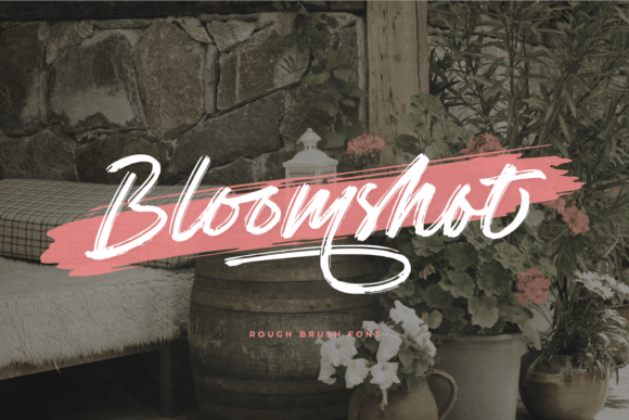 Bloomshot: A Dynamic Script Font for Modern Web Design