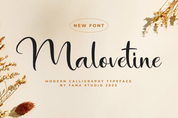 Malovetine: The Elegant Typeface for Your Brand Identity
