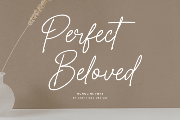 Perfect Beloved: A Designer's Honest Review for Real Projects